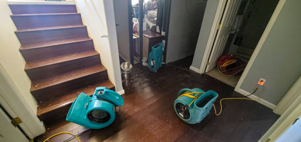 Best Water damage contractors near me  in Ridgewood, NJ