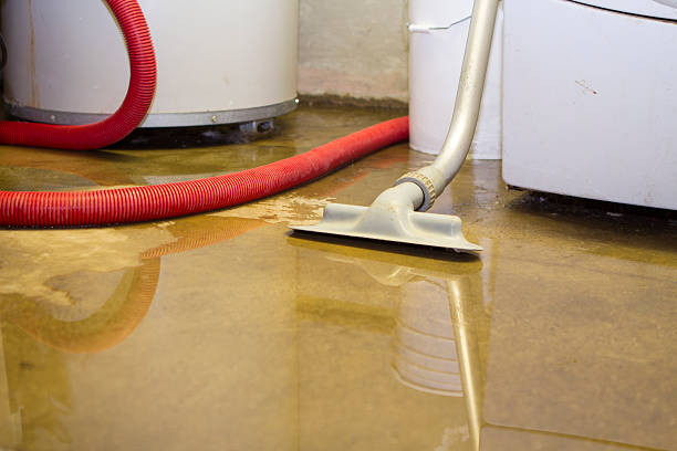 Best Professional water damage repair  in Ridgewood, NJ