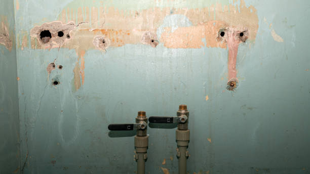 Best Commercial water damage restoration  in Ridgewood, NJ